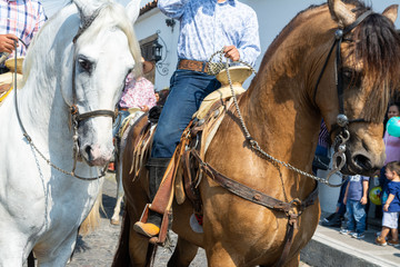 caballo
