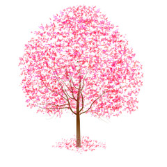 Obraz premium 桜 春 花 アイコン