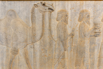 Bas reliefs in Persepolis, Iran