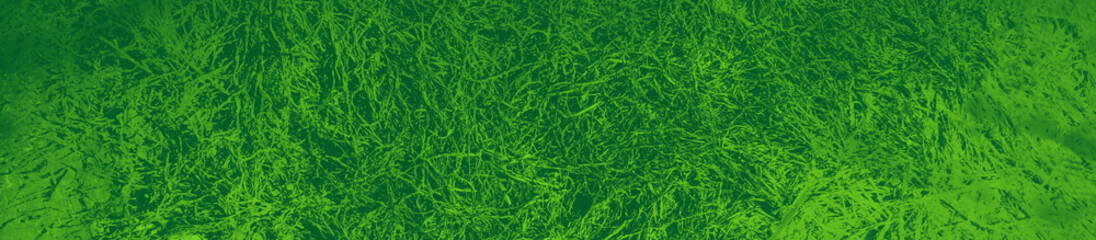 abstract green bright color background for design