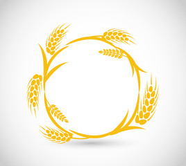 Beautiful wheat, grain golden vector round frame