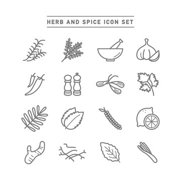 HERB AND SPICE ICON SET