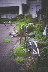 Overgrown bicycle lot