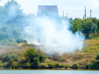 burning grass with smoke on the coast of the river