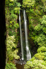 waterfall in the forest
