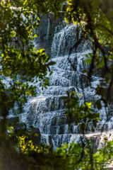 waterfall behind the leaves