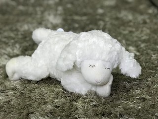 Ovelha branca de pelúcia 