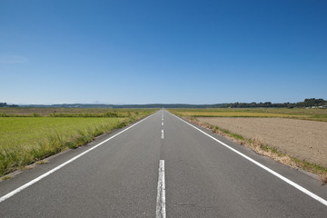 Fototapeta premium 田舎の真っ直ぐな道路 