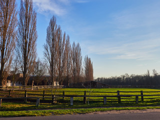 rural landscape with fence