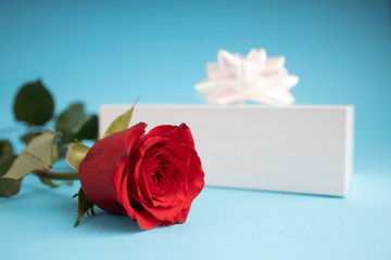Red rose Gift for valentines day. Top view of present box package decorated into the white paper with white bow-knot. Flat lay on blue background. Concept of celebrate. Love and amour...