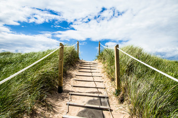 Fototapeta premium stairway to Greenwich Prince Edward Island Canada