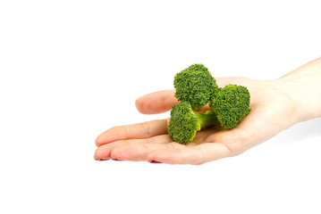 Naklejka na ściany i meble Broccoli in hand isolated on white background with copy space