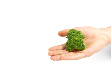 Naklejka na ściany i meble Broccoli in hand isolated on white background with copy space