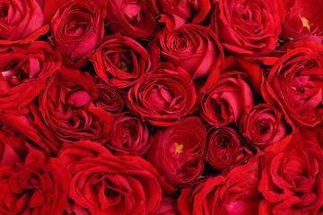 Beautiful red roses bouquet for background