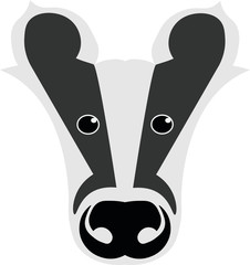 Badger © luis sandoval