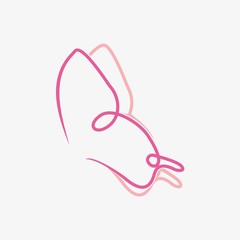 butterfly isolated on white background