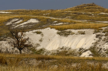 lonely tree in the middle of a field in the chalk mountains