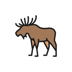 Vector elk, deer flat color line icon.