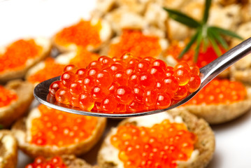 Sandwiches with red caviar on white plate close up