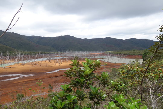 Dumbea, New Caledony 