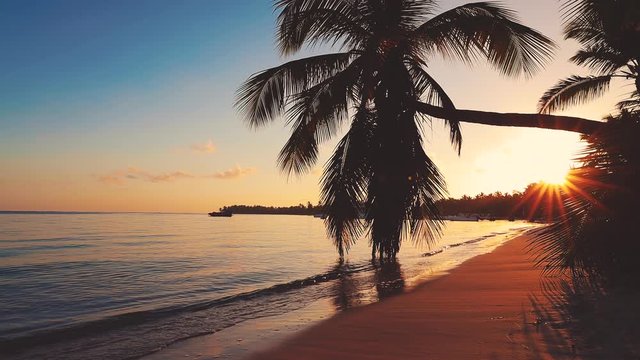 Sunrise over tropical island beach and palm trees. Punta Cana, Dominican Republic.