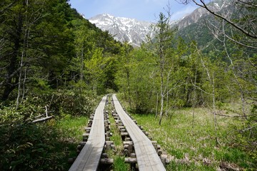 Fototapeta na wymiar A Path through Kamikochi National Park- Kamikochi, Japan