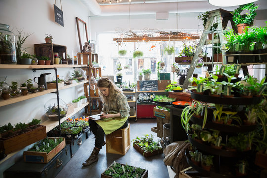 Terrarium shop owner taking inventory with clipboard