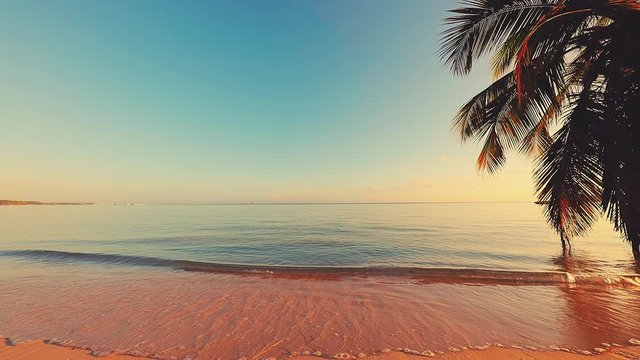Sunrise over tropical island beach and palm trees. Punta Cana, Dominican Republic.