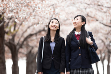 桜並木の下を歩く親子