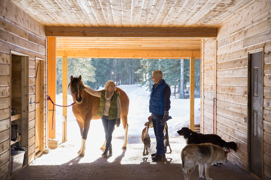 Couple with horse and dogs in stable
