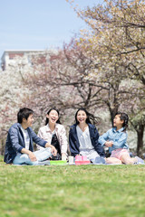 お花見をする家族