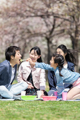 お花見をする家族