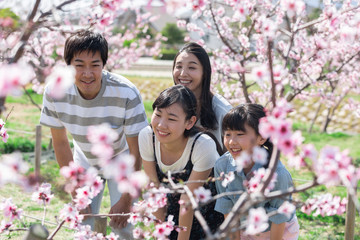 桜を観察する家族
