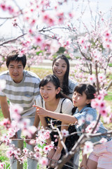 桜を観察する家族