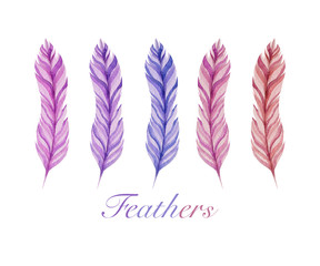 Hand drawn watercolor feather set. Elements for design, packaging, fabric.