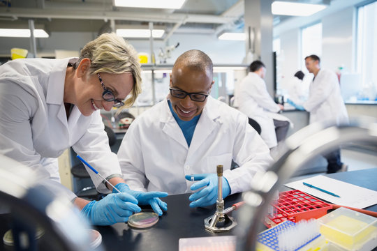 Scientists conducting scientific experiment in laboratory