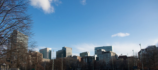 Boston skyline during overcast summer day,  Massachusetts, USA