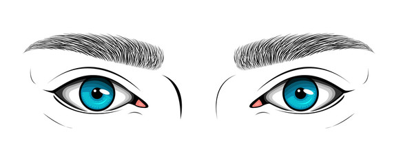 Vector black and white illustration with woman's blue eyes and hand drawn brows. Makeup Look for browbar.