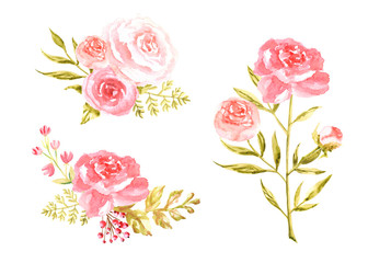 Watercolor compositions with gentle pink peony hand drawn on white background