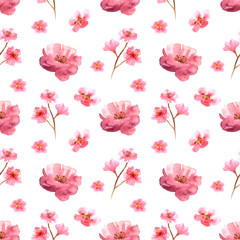 Watercolor gentle pattern with flowers of pink cherry hand drawn on white background