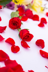 Flowers with white background, flowers and rose petals.