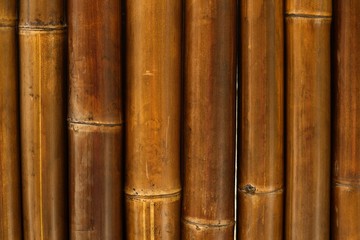 Natural bamboo fencing