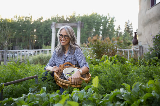 Smiling woman harvesting vegetables in garden