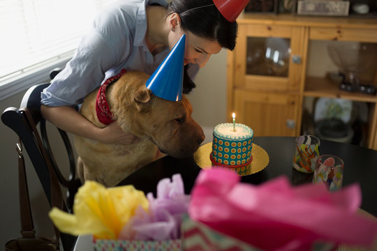 Woman and dog celebrating birthday with cake