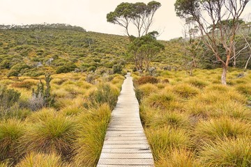 Randonnée à travers l& 39 Overland Track - Tasmanie, Australie