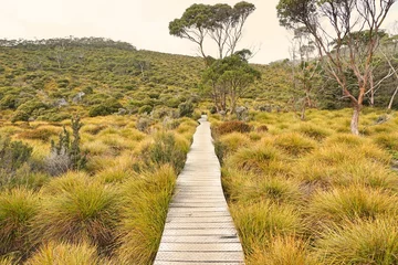 Fotobehang Cradle Mountain Wandelen door de Overland Track - Tasmanië, Australië
