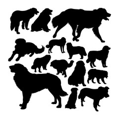 Estrela mountain dog silhouettes. Good use for symbol, logo, web icon, mascot, sign, or any design you want.