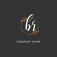 Handwritten initial letter B R BR for identity and logo. Vector logo template with handwriting and signature style.