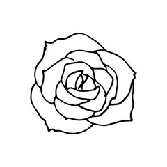 Beautiful monochrome rose isolated on white background. Hand-drawn contour line. Element for creating a design, can be used on postcards, invitations of wedding, birthday, flyers, posters, advertising