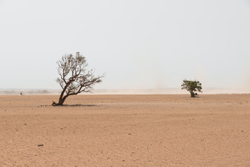Sand storm in remote Australian agricultural farm field. Climate change or global warming concept for drought as a natural disaster.
